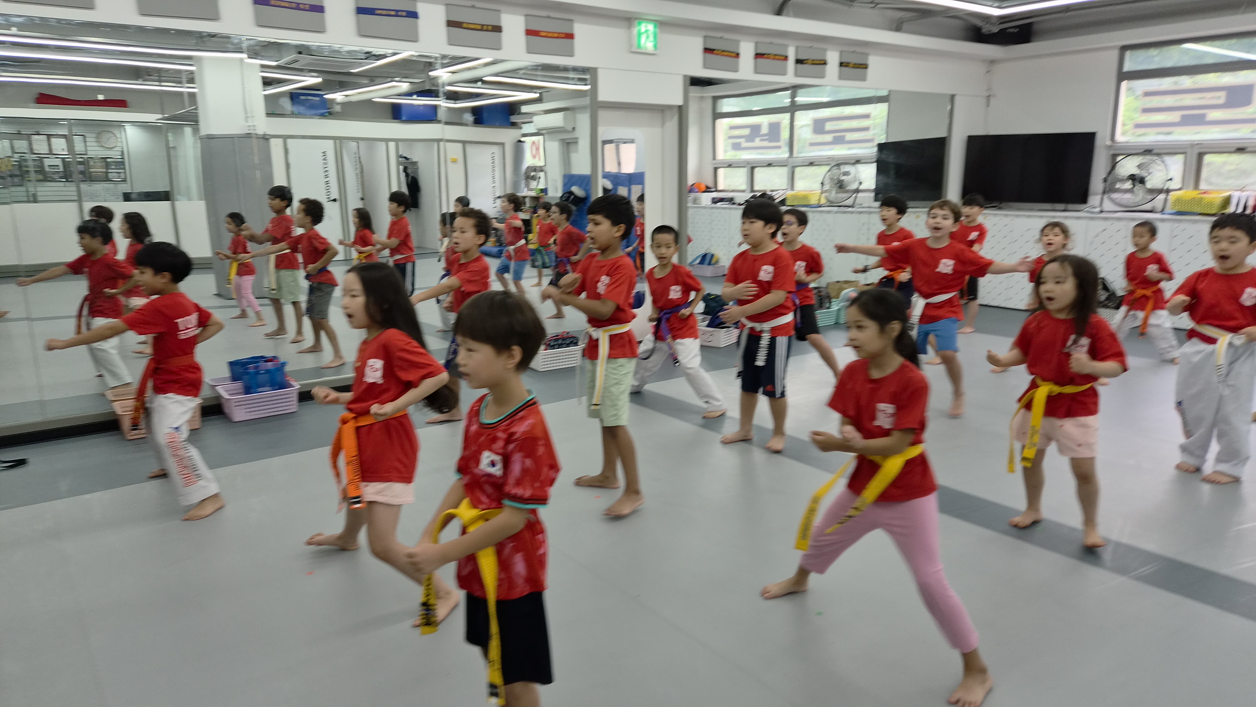 Taekwondo class moment 8